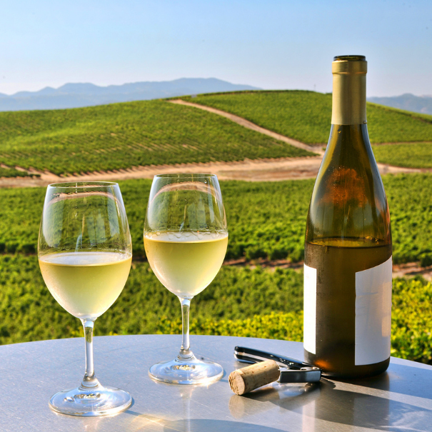 Wine